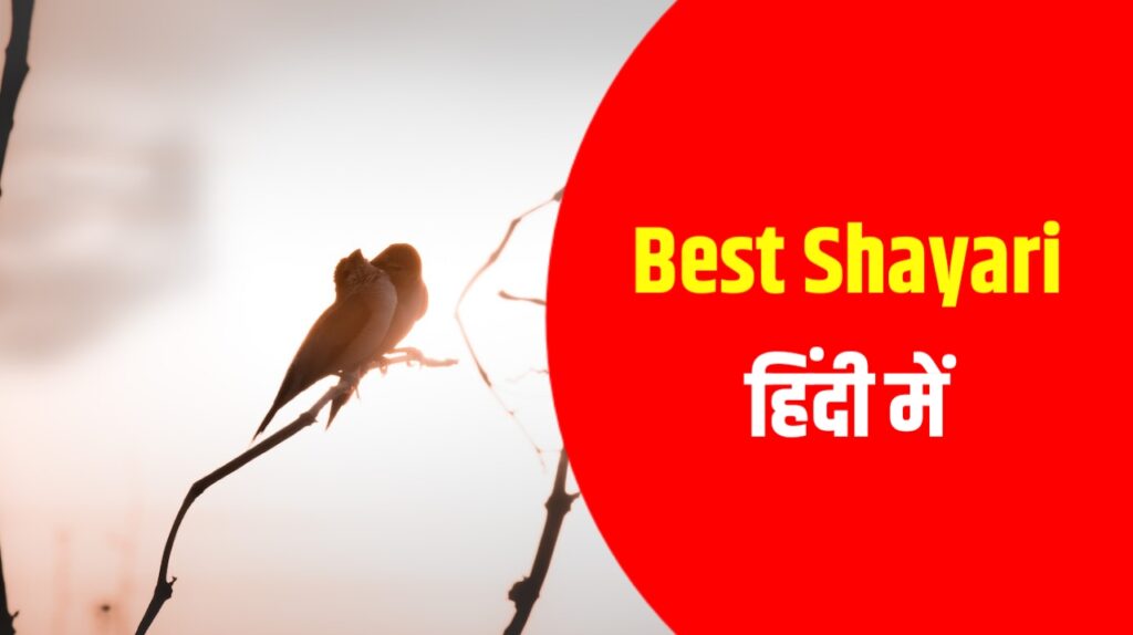 20221210 140451 Best Shayari Website